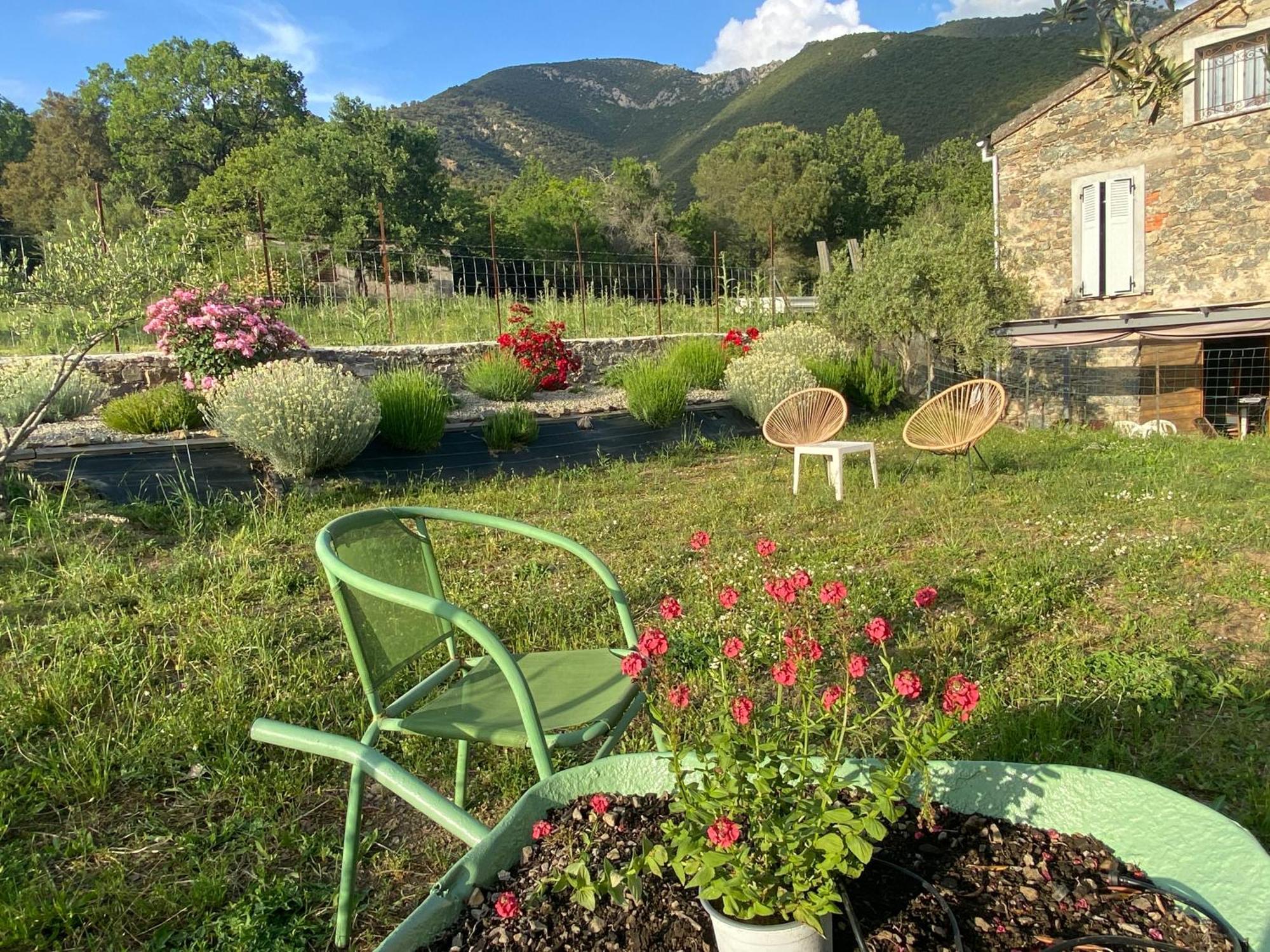 Casa Orani Villa Ponte-Leccia Exterior foto